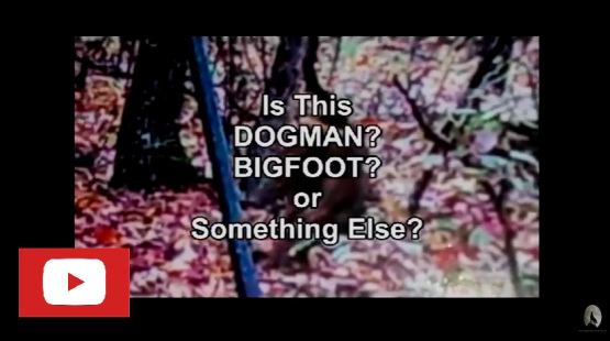 bigfoot video screen
