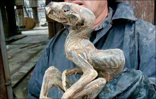 siberia-mummified-monster